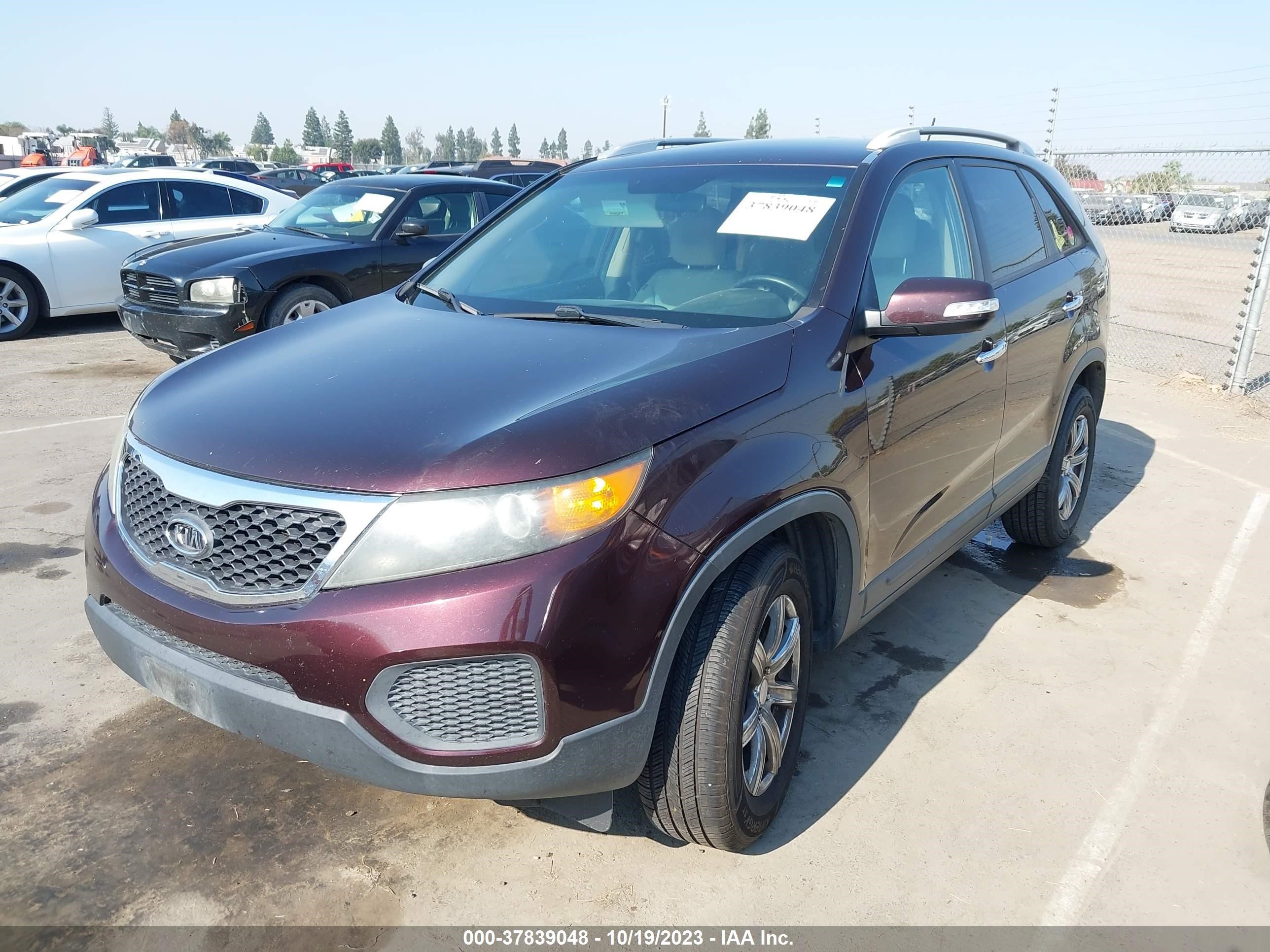 Photo 1 VIN: 5XYKT4A21BG125254 - KIA SORENTO 