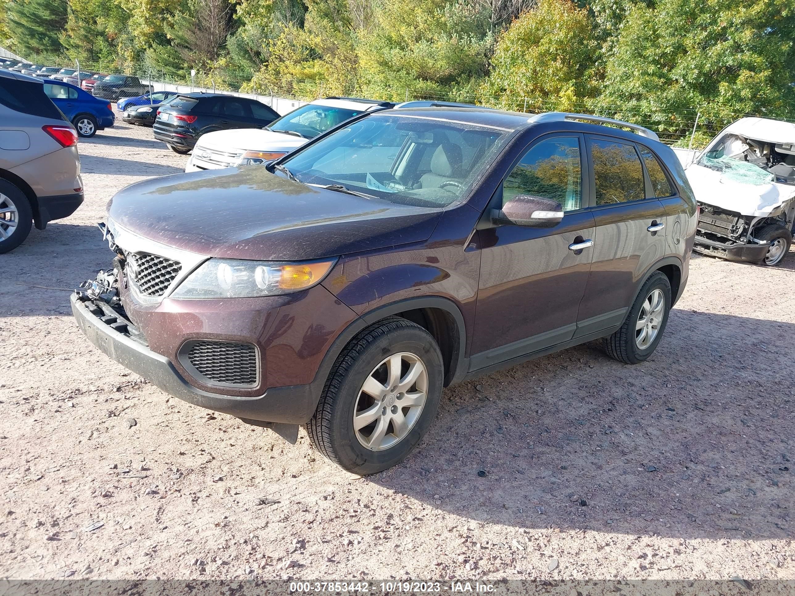 Photo 1 VIN: 5XYKT4A21DG368890 - KIA SORENTO 