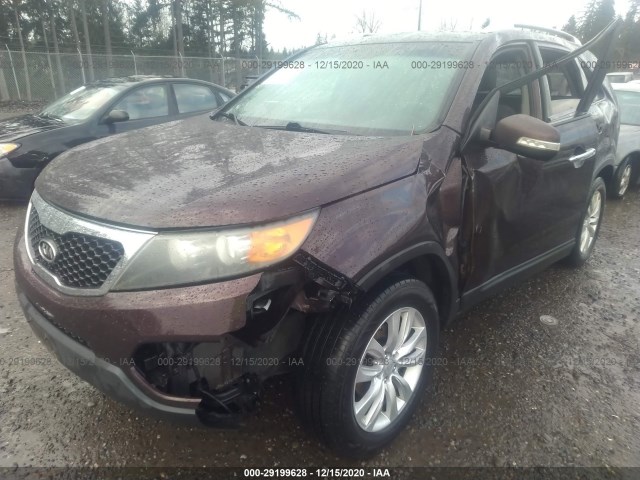 Photo 1 VIN: 5XYKT4A22BG115946 - KIA SORENTO 