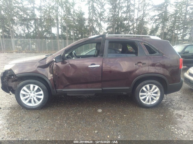 Photo 5 VIN: 5XYKT4A22BG115946 - KIA SORENTO 