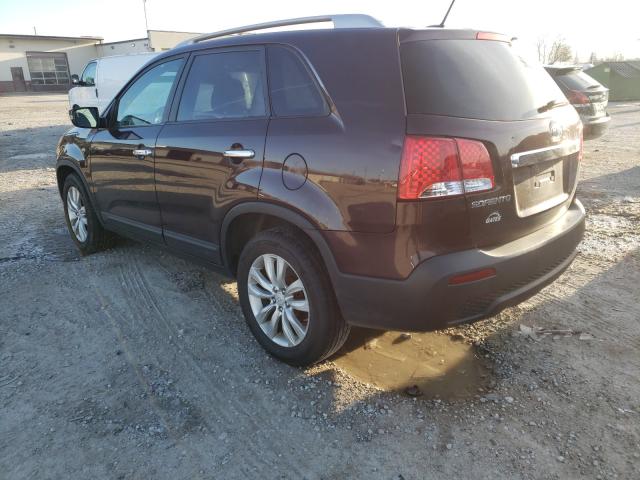 Photo 2 VIN: 5XYKT4A23BG074291 - KIA SORENTO BA 