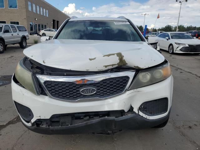 Photo 4 VIN: 5XYKT4A23BG174634 - KIA SORENTO 