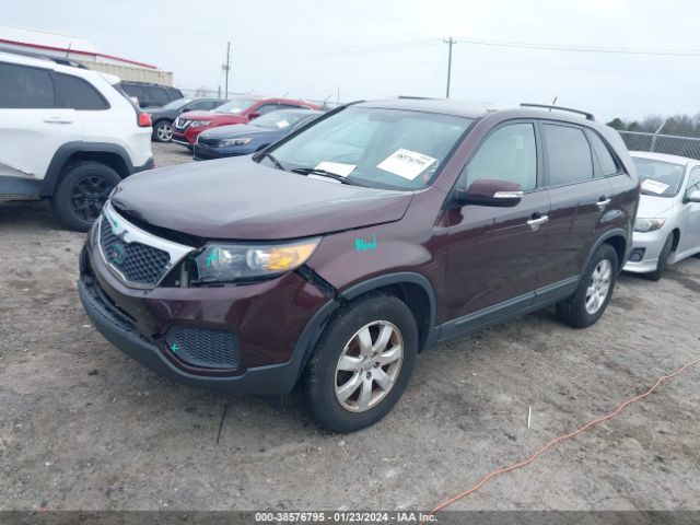 Photo 1 VIN: 5XYKT4A24DG338167 - KIA SORENTO 