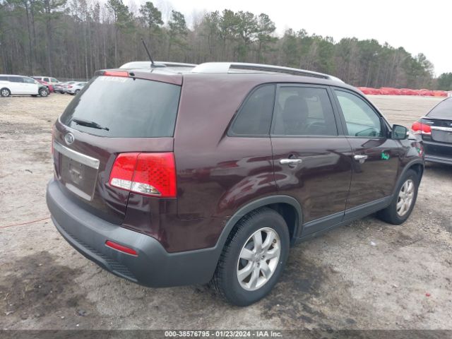 Photo 3 VIN: 5XYKT4A24DG338167 - KIA SORENTO 