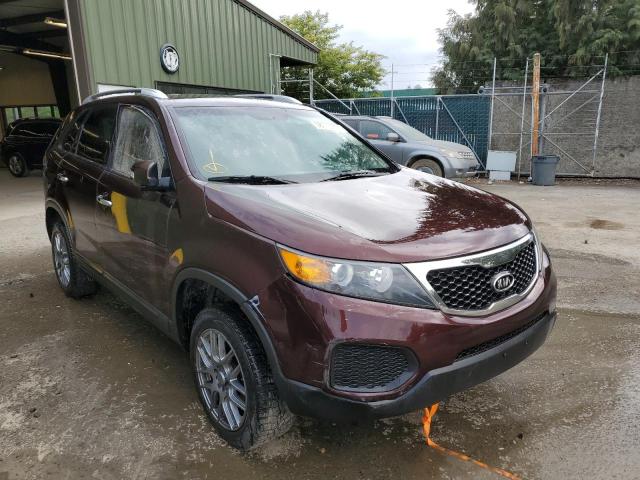 Photo 0 VIN: 5XYKT4A24DG376174 - KIA SORENTO LX 