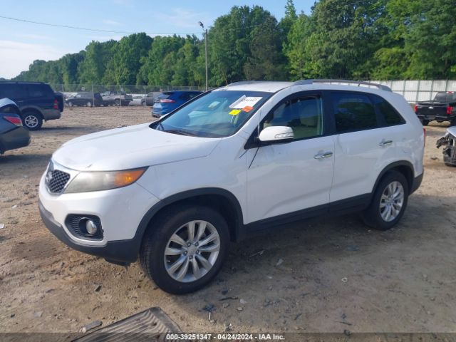 Photo 5 VIN: 5XYKT4A27BG118812 - KIA SORENTO 