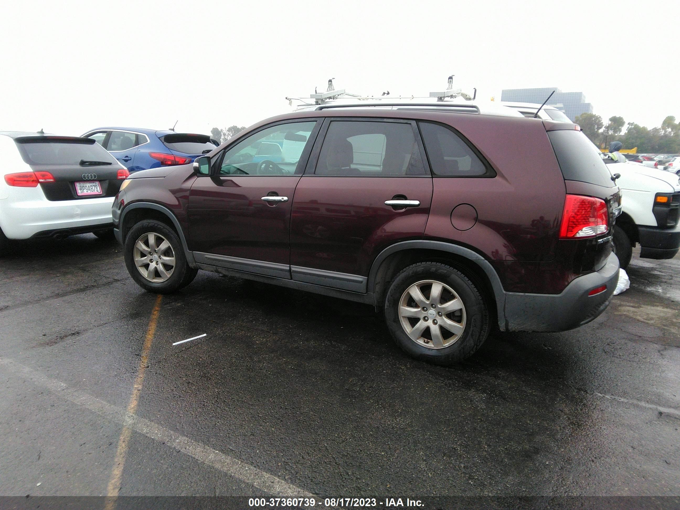 Photo 12 VIN: 5XYKT4A27BG125291 - KIA SORENTO 