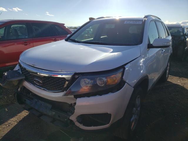 Photo 1 VIN: 5XYKT4A28BG146649 - KIA SORENTO BA 