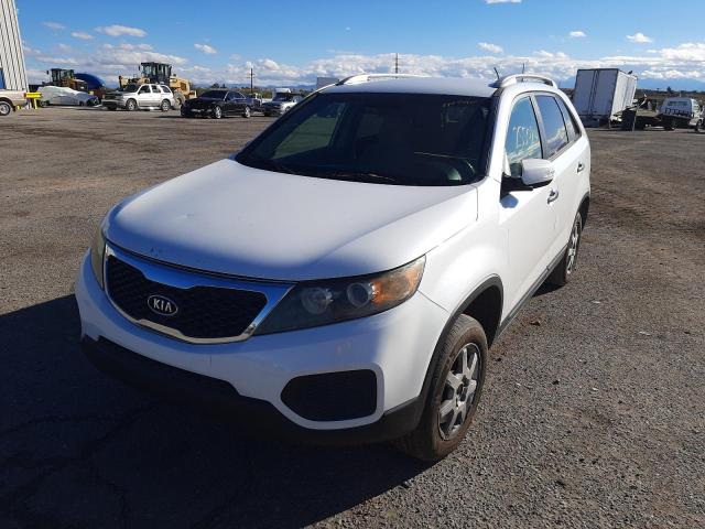 Photo 1 VIN: 5XYKT4A28BG175858 - KIA SORENTO BA 