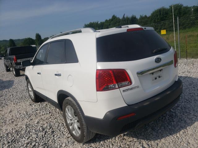 Photo 2 VIN: 5XYKT4A29BG106130 - KIA SORENTO BA 