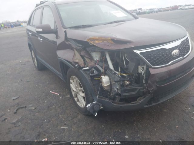 Photo 5 VIN: 5XYKT4A77EG457411 - KIA SORENTO 