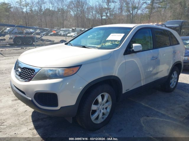 Photo 1 VIN: 5XYKTCA10BG072600 - KIA SORENTO 