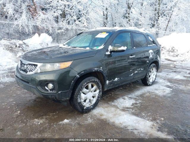 Photo 1 VIN: 5XYKTCA10BG156173 - KIA SORENTO 