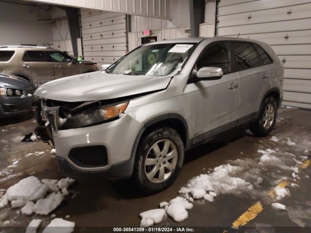 Photo 1 VIN: 5XYKTCA11BG042666 - KIA SORENTO 