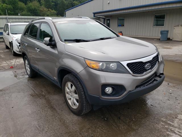 Photo 0 VIN: 5XYKTCA11BG111369 - KIA SORENTO 