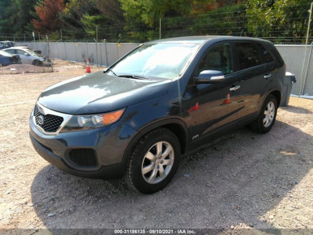 Photo 1 VIN: 5XYKTCA13BG024573 - KIA SORENTO 