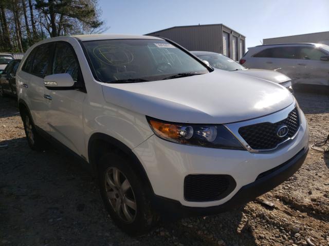 Photo 0 VIN: 5XYKTCA13BG029577 - KIA SORENTO BA 