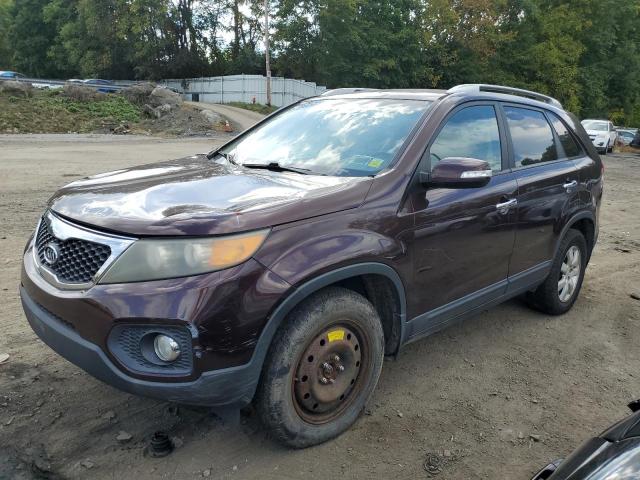 Photo 0 VIN: 5XYKTCA13BG084983 - KIA SORENTO BA 