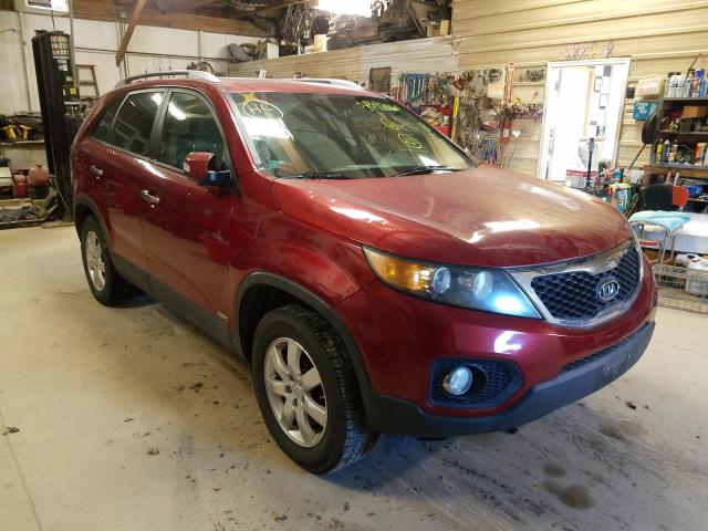 Photo 0 VIN: 5XYKTCA14BG036618 - KIA SORENTO BA 