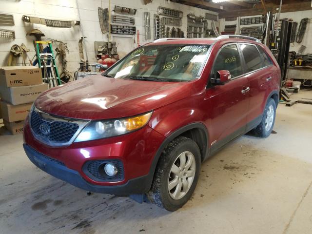 Photo 1 VIN: 5XYKTCA14BG036618 - KIA SORENTO BA 