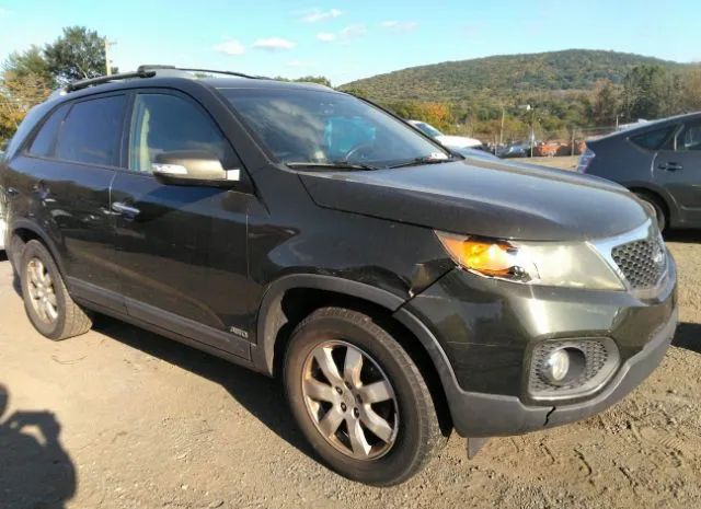 Photo 5 VIN: 5XYKTCA14BG146195 - KIA SORENTO 