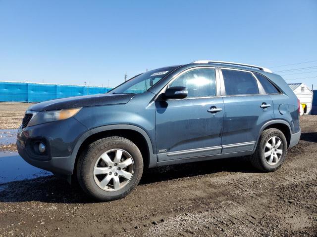 Photo 1 VIN: 5XYKTCA15BG135349 - KIA SORENTO BA 