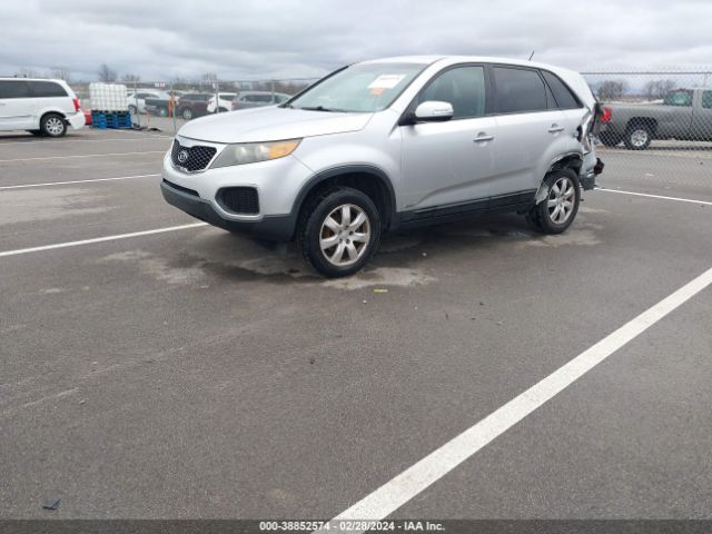 Photo 1 VIN: 5XYKTCA17BG010336 - KIA SORENTO 