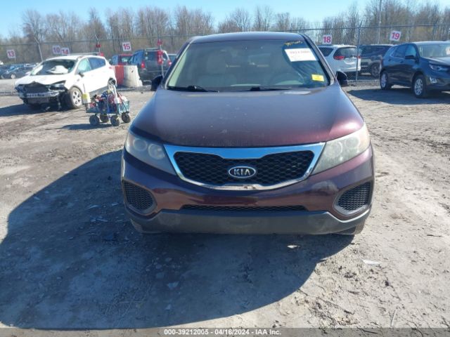 Photo 5 VIN: 5XYKTCA17BG031929 - KIA SORENTO 