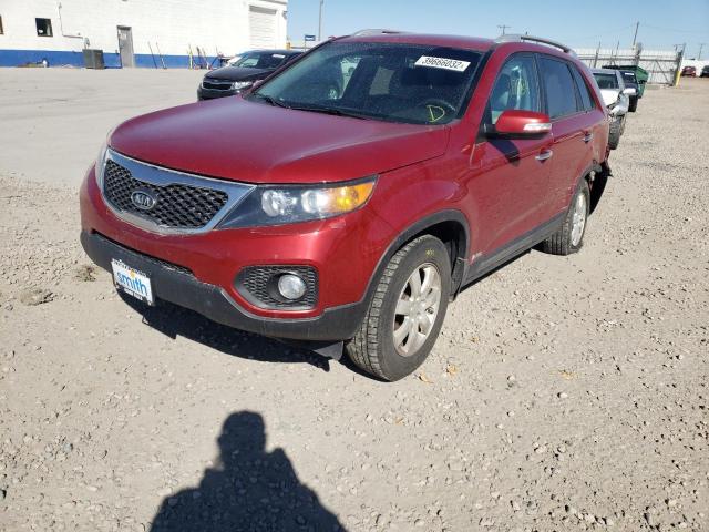 Photo 1 VIN: 5XYKTCA17BG054482 - KIA SORENTO BA 