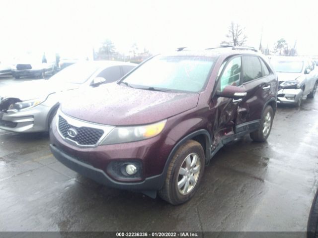 Photo 1 VIN: 5XYKTCA17BG172399 - KIA SORENTO 