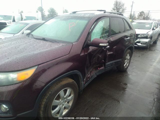 Photo 5 VIN: 5XYKTCA17BG172399 - KIA SORENTO 