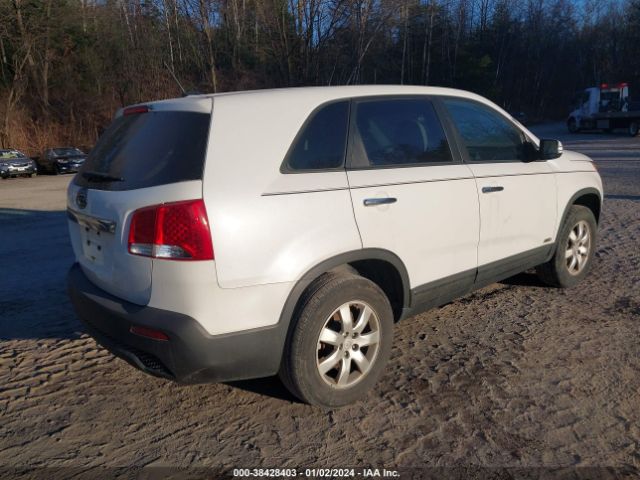 Photo 3 VIN: 5XYKTCA18BG030708 - KIA SORENTO 