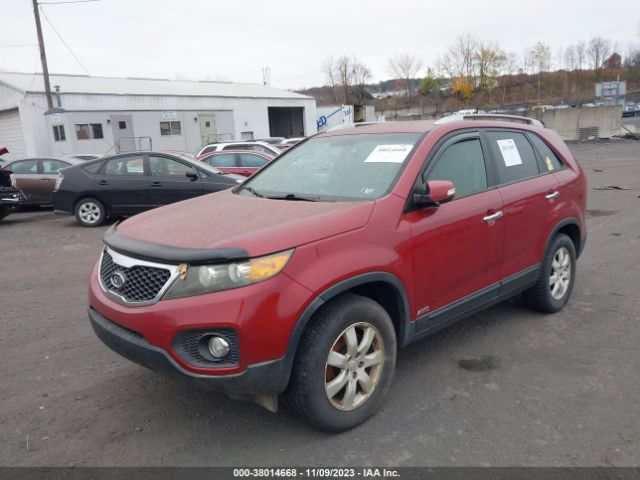 Photo 1 VIN: 5XYKTCA18BG054667 - KIA SORENTO 