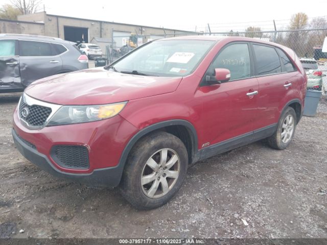 Photo 1 VIN: 5XYKTCA1XBG005048 - KIA SORENTO 