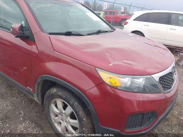 Photo 5 VIN: 5XYKTCA1XBG005048 - KIA SORENTO 