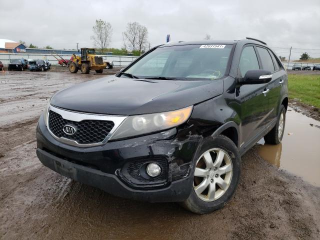 Photo 1 VIN: 5XYKTCA1XBG056033 - KIA SORENTO BA 