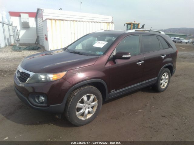 Photo 1 VIN: 5XYKTCA1XBG069736 - KIA SORENTO 