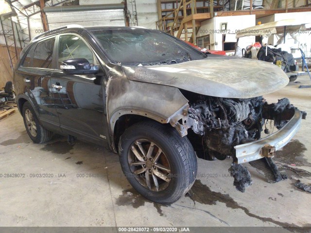 Photo 0 VIN: 5XYKTCA61EG465571 - KIA SORENTO 