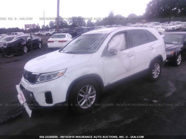 Photo 1 VIN: 5XYKTCA62EG545011 - KIA SORENTO 