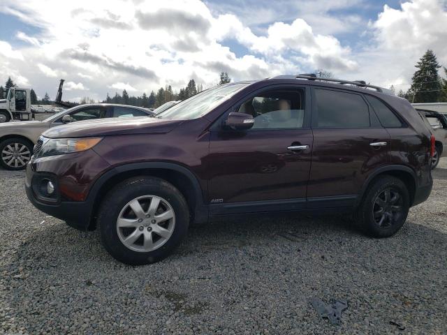 Photo 0 VIN: 5XYKTCA65DG401872 - KIA SORENTO LX 