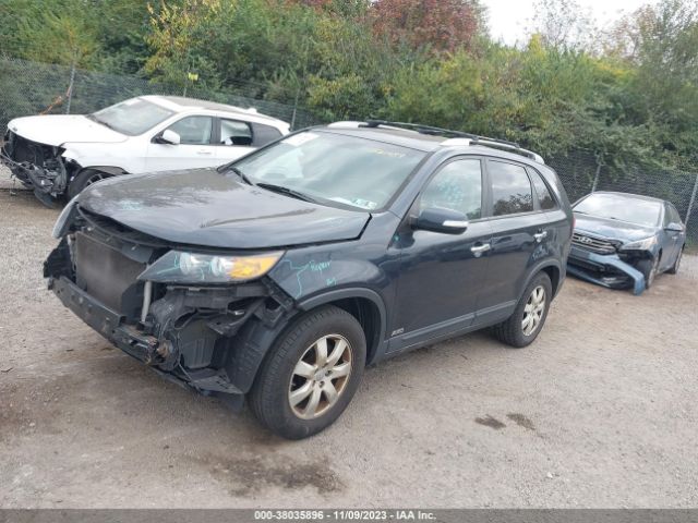 Photo 1 VIN: 5XYKTCA66DG331489 - KIA SORENTO 