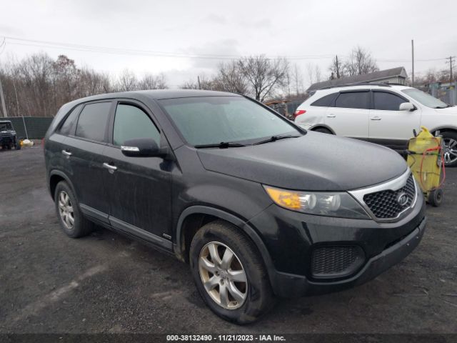 Photo 0 VIN: 5XYKTCA66DG411455 - KIA SORENTO 