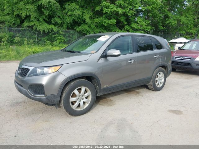 Photo 1 VIN: 5XYKTCA67DG316564 - KIA SORENTO 