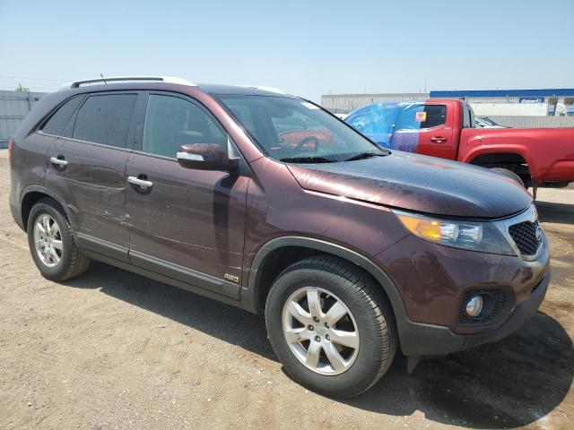 Photo 3 VIN: 5XYKTCA68CG300761 - KIA SORENTO 