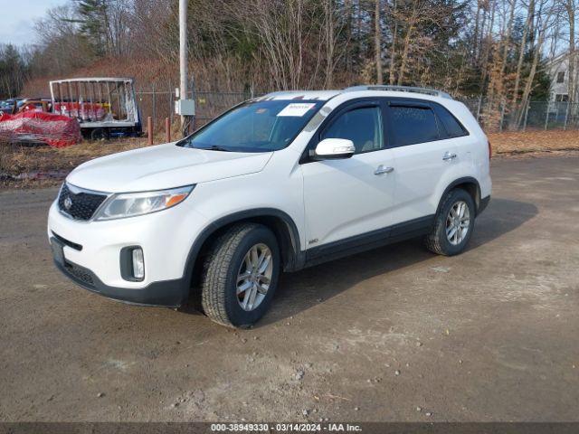 Photo 1 VIN: 5XYKTCA68EG524261 - KIA SORENTO 