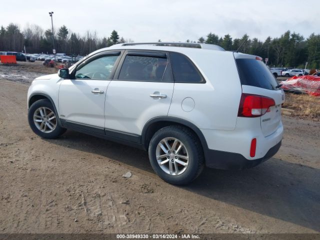 Photo 2 VIN: 5XYKTCA68EG524261 - KIA SORENTO 