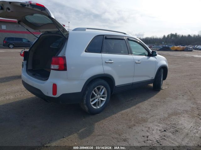 Photo 3 VIN: 5XYKTCA68EG524261 - KIA SORENTO 