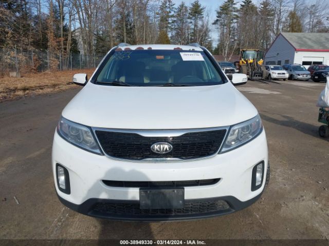 Photo 5 VIN: 5XYKTCA68EG524261 - KIA SORENTO 