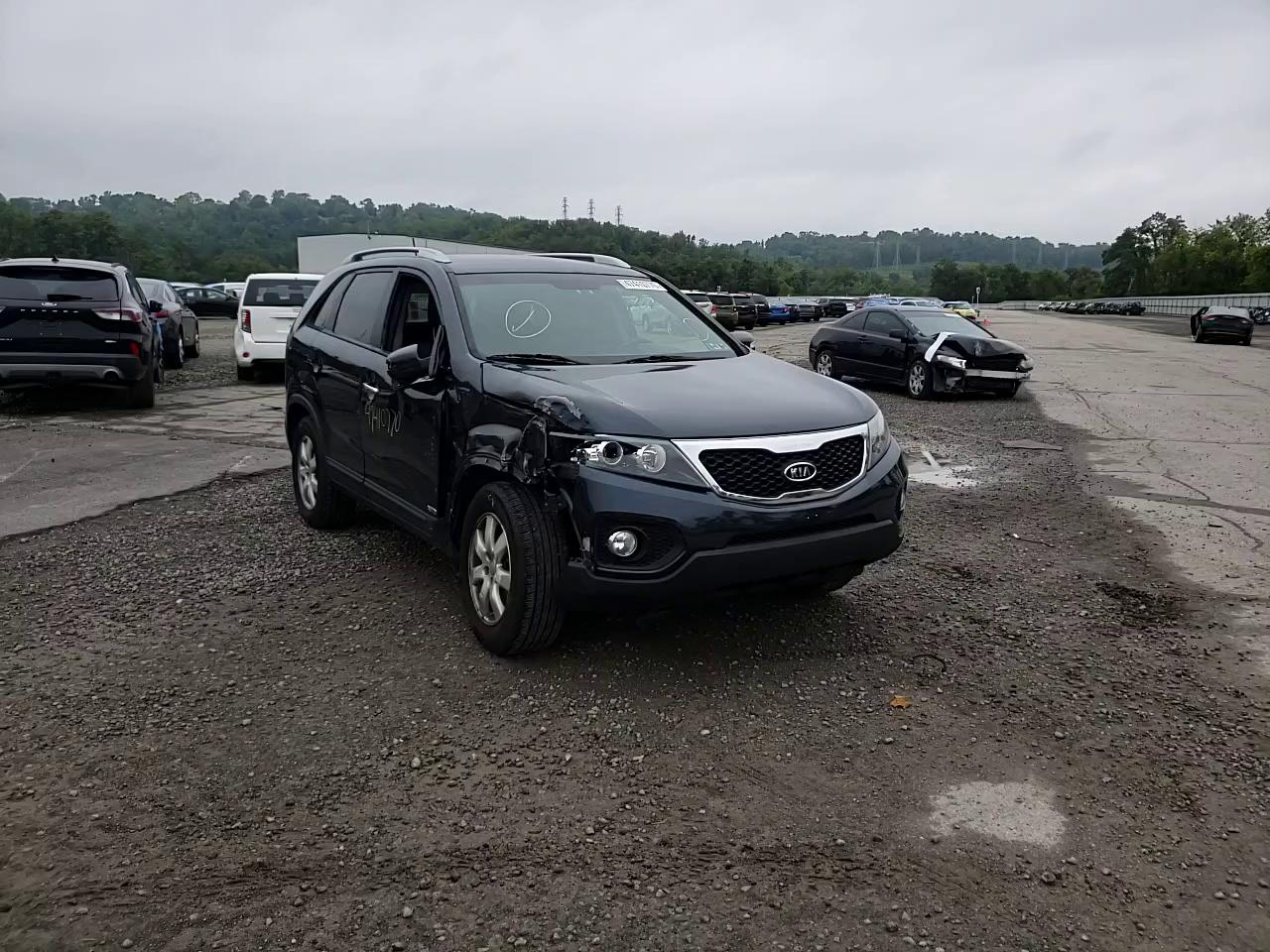 Photo 10 VIN: 5XYKTCA69DG313746 - KIA SORENTO 