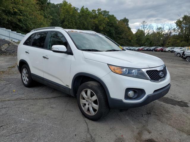 Photo 3 VIN: 5XYKTCA69DG323483 - KIA SORENTO 